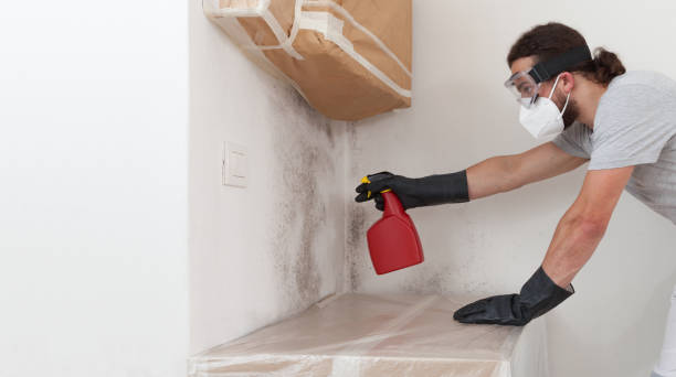 Professional Bathroom Mold Removal technician working in Essex, IL