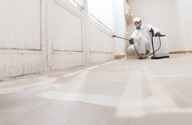 24/7 Emergency Bathroom Mold Removal experts in Essex, IL